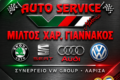synergeio-vw-group-larisa-giannakos-logo