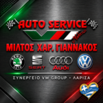 synergeio-vw-group-larisa-giannakos-logo