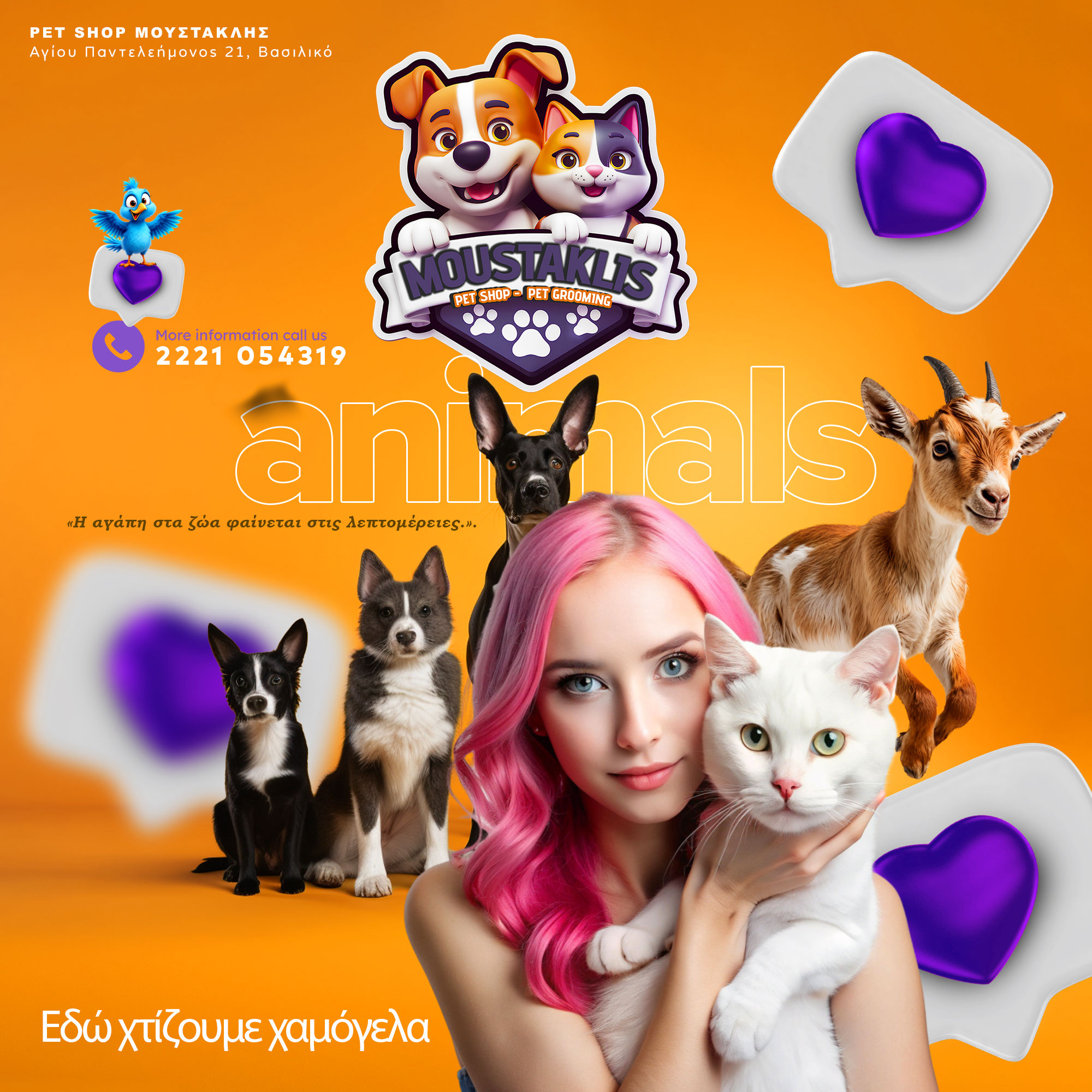 pet-shop-vasiliko-moustaklis-pet-grooming-evvoia 7 | Magic Lamp pet-shop-vasiliko-moustaklis-pet-grooming-evvoia