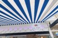 mr-fish-chalkida-fine-seafood-experience-ekei-pou-to-fresko-psari-ginetai-techni