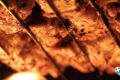 souvlatzidiko-chalkida-gyros-grill-i-afthentiki-ebeiria-tou-psitopoleiou