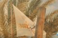 Tattered white banner attached to wooden posts among beach palm fronds, with faint orange text about kite and windsurfing and a blue heart logo in the corner.