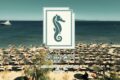 restaurant-beach-bar-mykonos-agrari-beach-bar