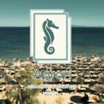 restaurant-beach-bar-mykonos-agrari-beach-bar 1 | Magic Lamp restaurant-beach-bar-mykonos-agrari-beach-bar