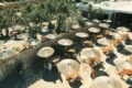 restaurant-beach-bar-mykonos-agrari-beach-bar