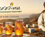 melissenia-melissokomiko-ergastirio-kythnos-meli-gyri-gyrh-thimarisio-melia
