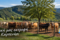 farma-kreopoleio-karpenisi-mavraganis