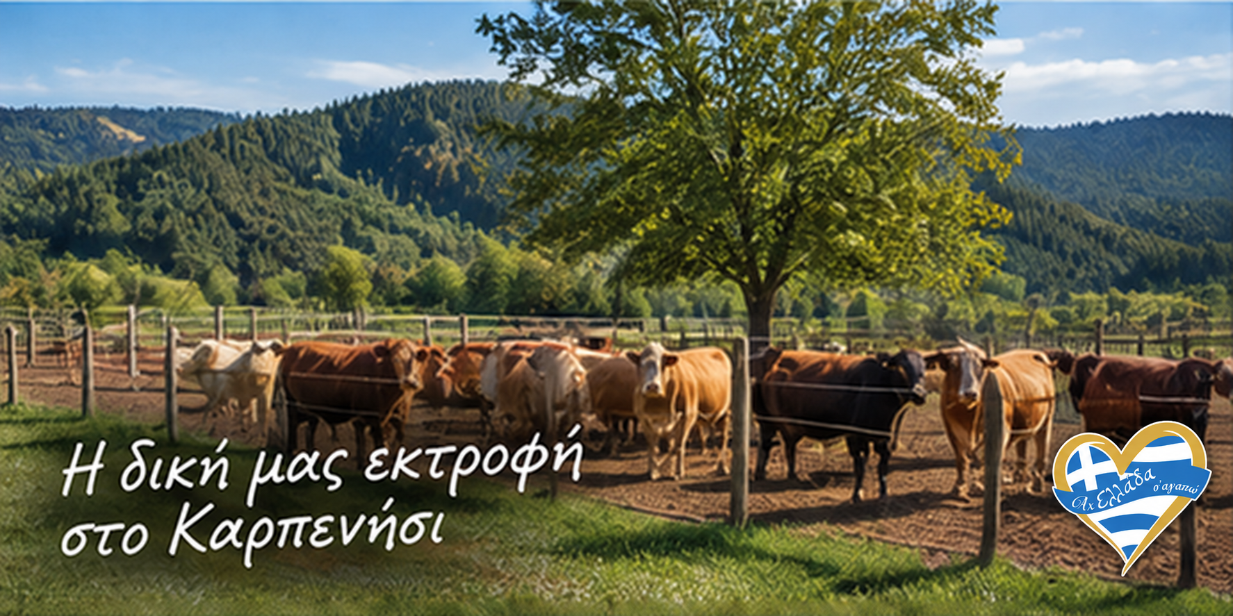 farma-kreopoleio-karpenisi-mavraganis-kreata-evritanias 9 | Magic Lamp farma-kreopoleio-karpenisi-mavraganis