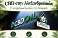 cbd-alexandroupoli-cbd-oil-shop-ypiresies-logotypo