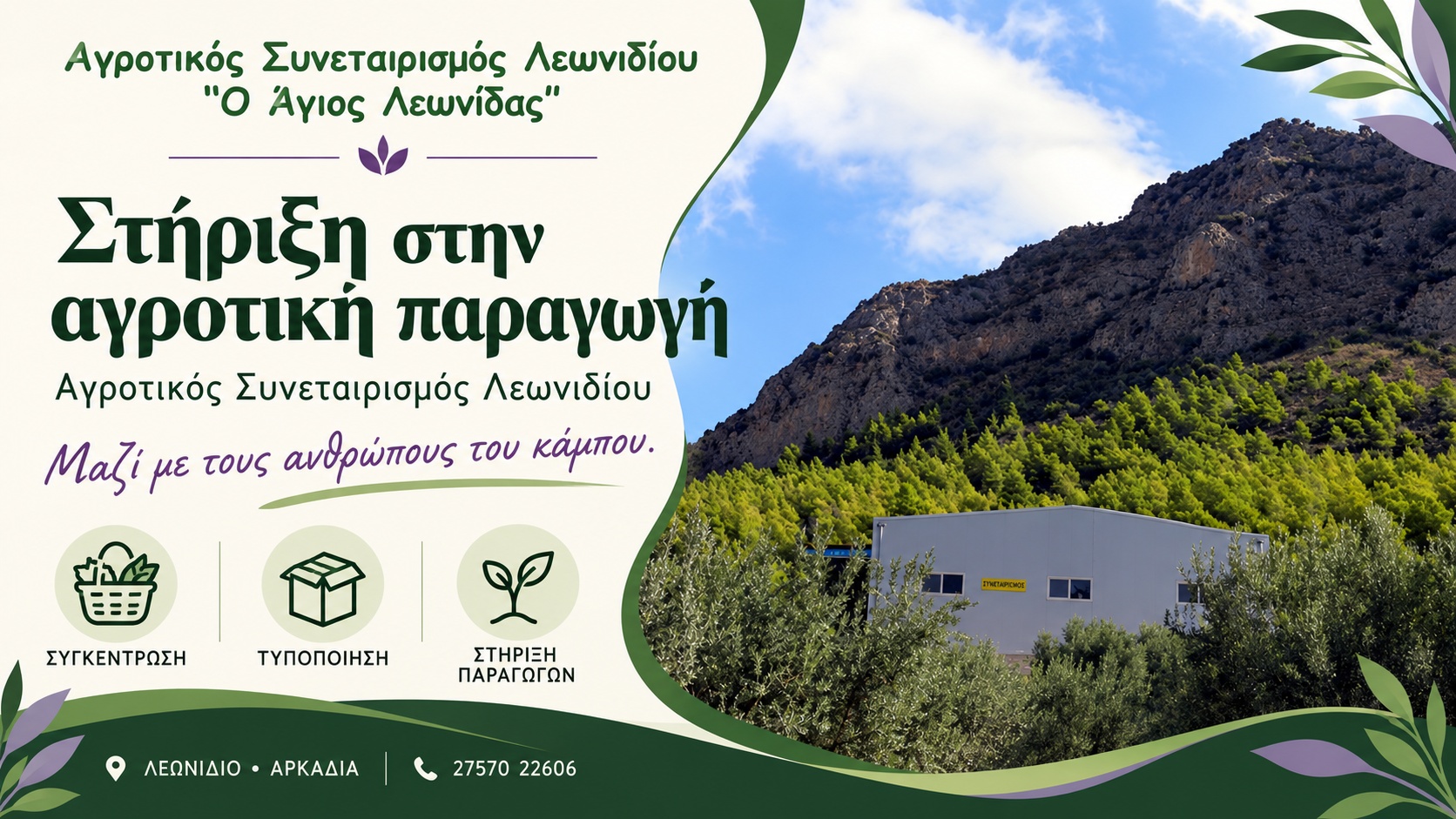 Τοπικά προϊόντα Λεωνιδίου | Αγροτικός Συνεταιρισμός «Ο Άγιος Λεωνίδας» | Εγκαταστάσεις | Magic Lamp Τοπικά προϊόντα Λεωνιδίου | Αγροτικός Συνεταιρισμός «Ο Άγιος Λεωνίδας» | Εγκαταστάσεις
