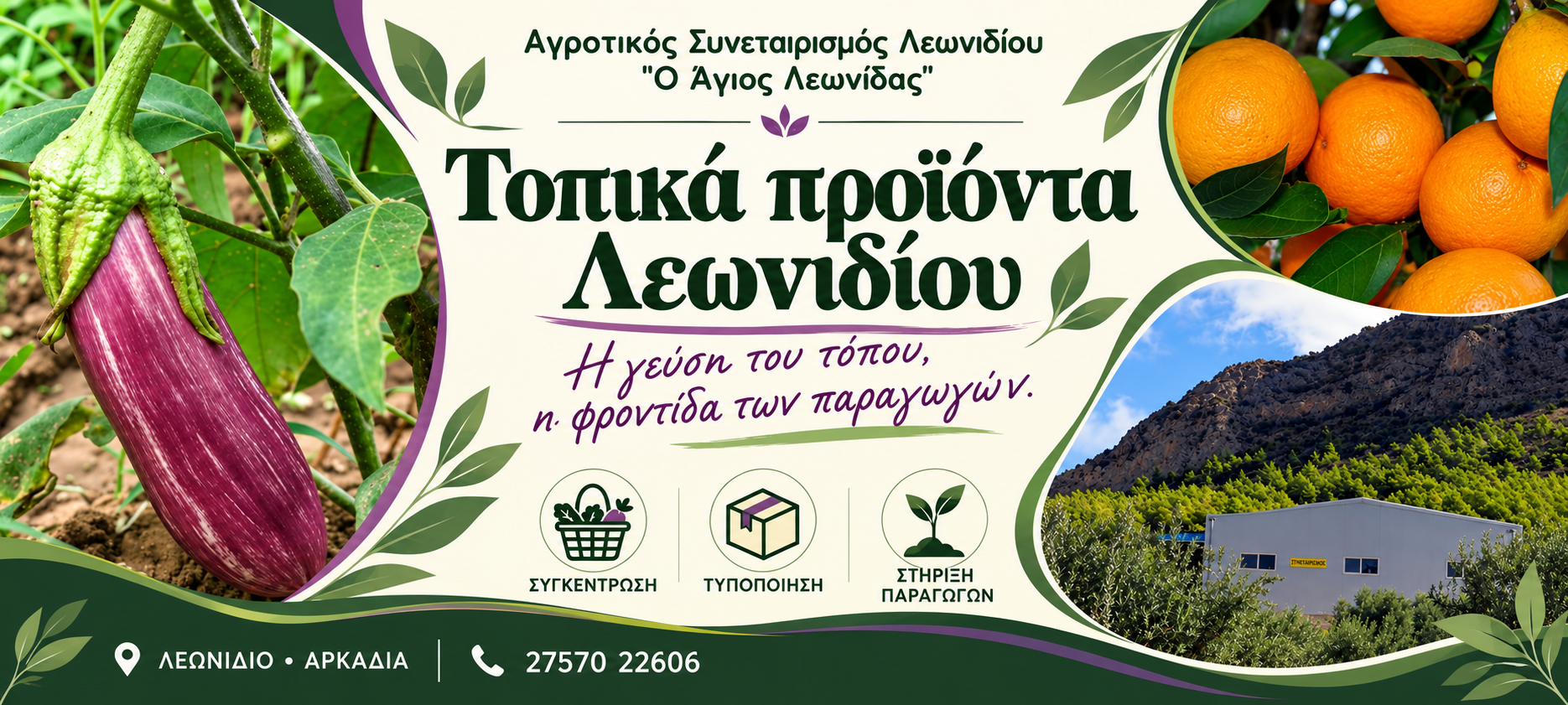 Τοπικά προϊόντα Λεωνιδίου — Αγροτικός Συνεταιρισμός «Ο Άγιος Λεωνίδας», Εξώφυλλο | Magic Lamp Τοπικά προϊόντα Λεωνιδίου — Αγροτικός Συνεταιρισμός «Ο Άγιος Λεωνίδας», Εξώφυλλο