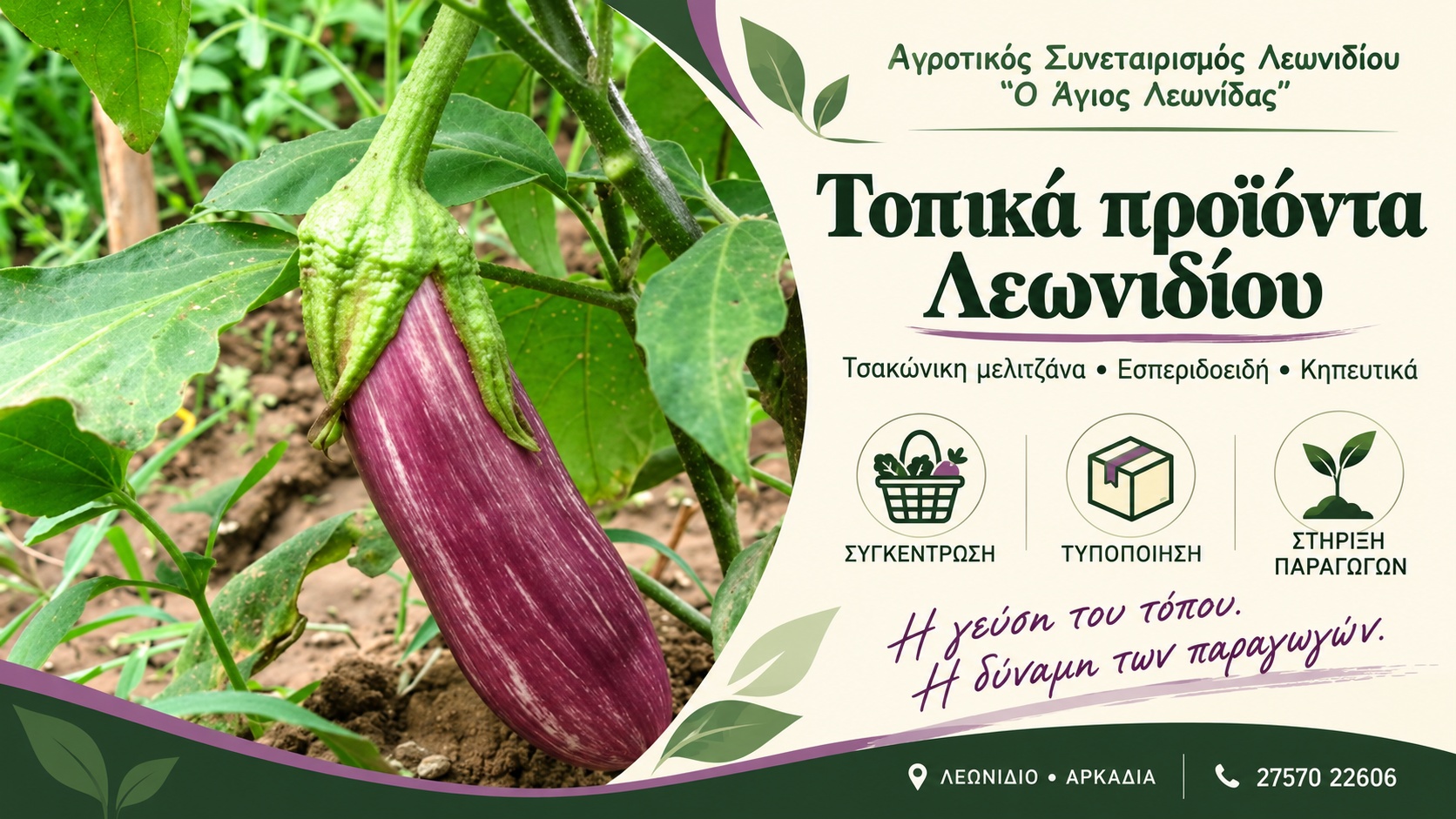Τοπικά προϊόντα Λεωνιδίου | Αγροτικός Συνεταιρισμός «Ο Άγιος Λεωνίδας» | Τσακώνικη μελιτζάνα | Magic Lamp Τοπικά προϊόντα Λεωνιδίου | Αγροτικός Συνεταιρισμός «Ο Άγιος Λεωνίδας» | Τσακώνικη μελιτζάνα