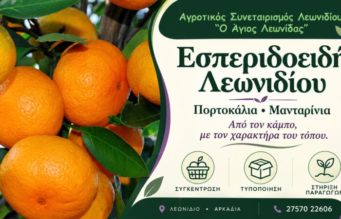 Τοπικά προϊόντα Λεωνιδίου | Αγροτικός Συνεταιρισμός «Ο Άγιος Λεωνίδας» | Εσπεριδοειδή