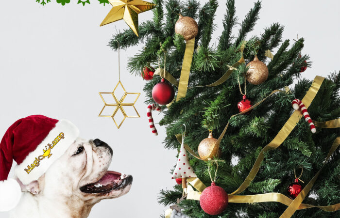 christougenniatika-eidi-kalamata-sconto-center-kalamata