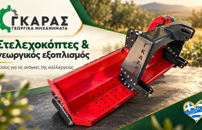 georgika-michanimata-larisa-gkaras-kataskeves