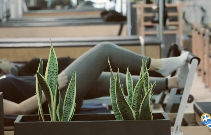gymnastirio-kalamata-ibody-wellness