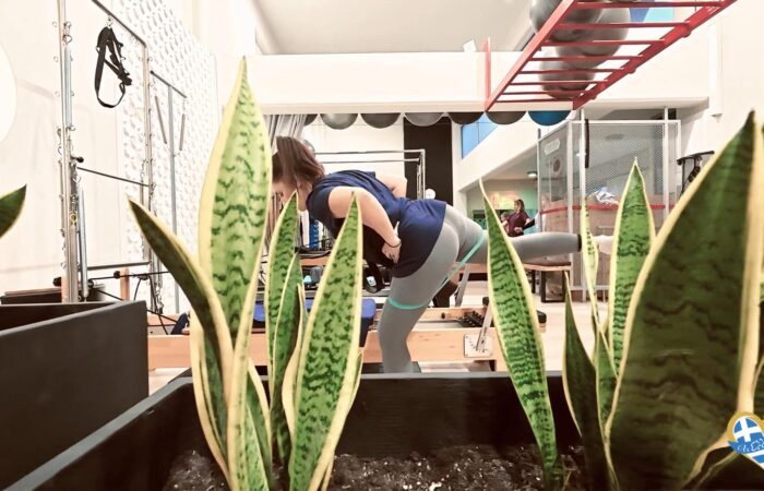 gymnastirio-kalamata-ibody-wellness