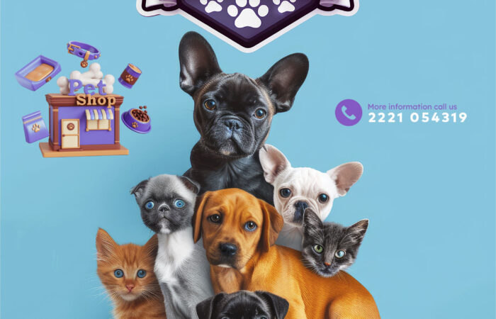 pet-shop-vasiliko-moustaklis-pet-grooming-evvoia