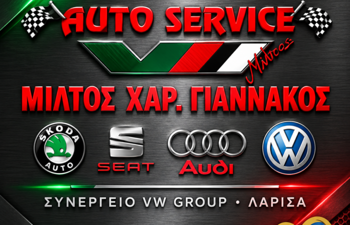 synergeio-vw-group-larisa-giannakos-logo