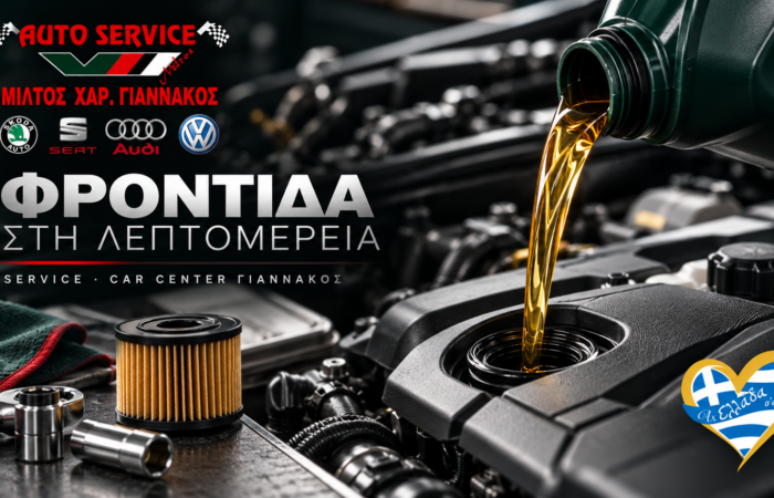 synergeio-vw-group-larisa-giannakos-service